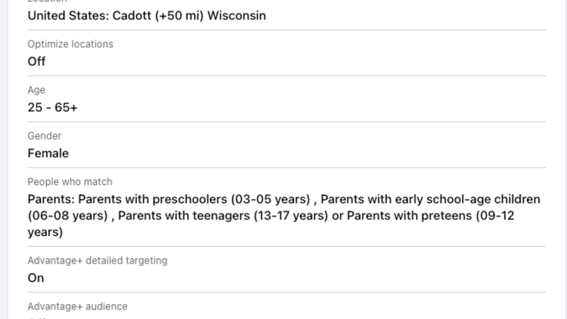 Precision PPC: Custom Audience Targeting screenshot