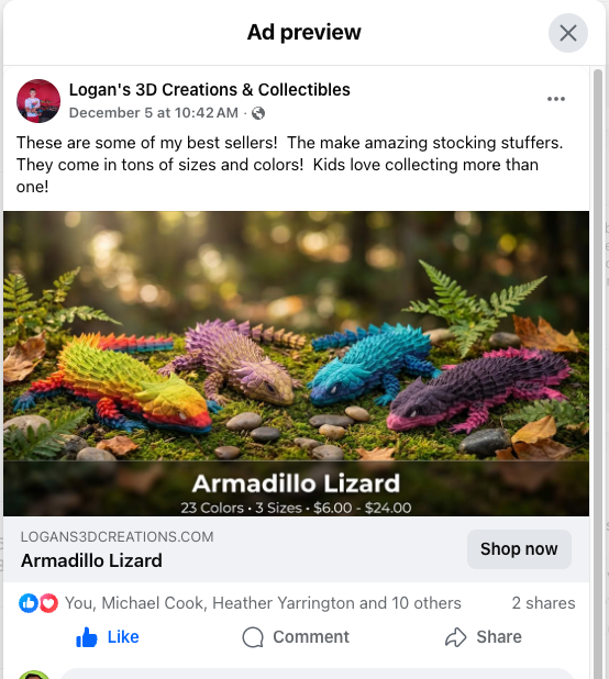 Facebook ad preview showing product-focused creative